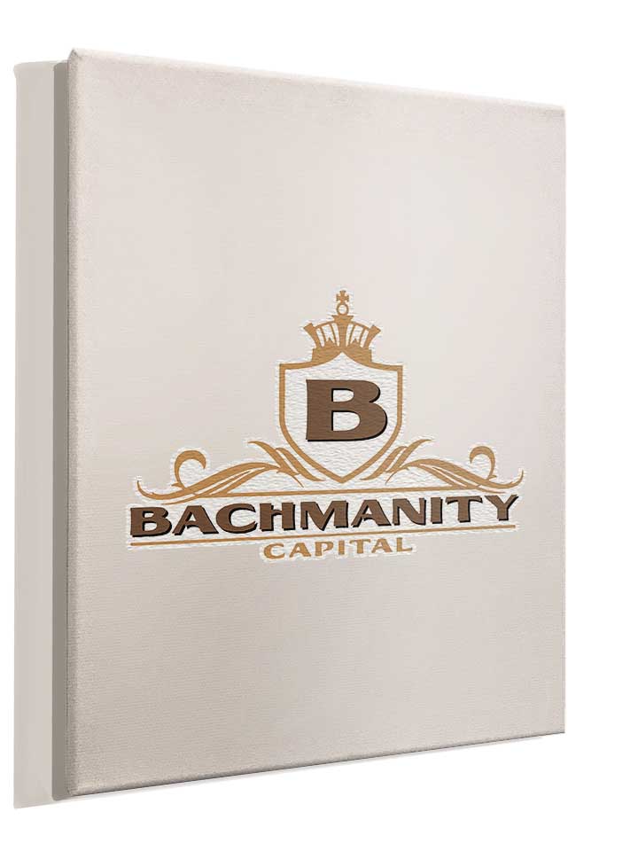 bachmanity-capital-leinwand weiss 4