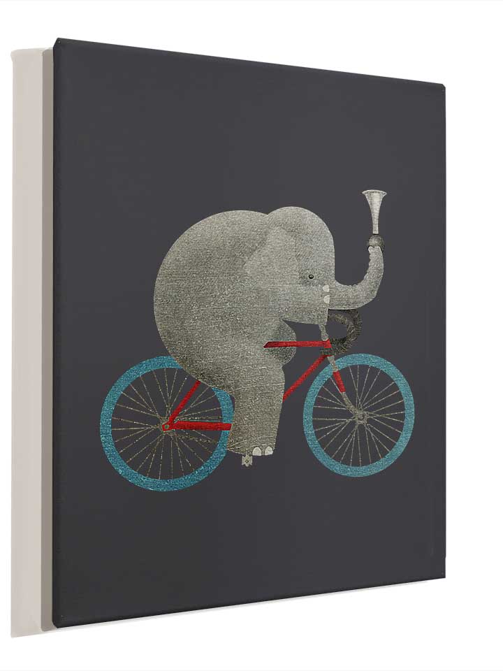 bike-elephant-leinwand dunkelgrau 4